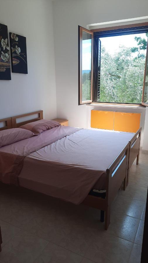 Alba Del Gargano Home Vieste Dış mekan fotoğraf