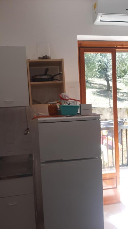 Alba Del Gargano Home Vieste Dış mekan fotoğraf