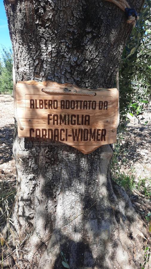 Alba Del Gargano Home Vieste Dış mekan fotoğraf