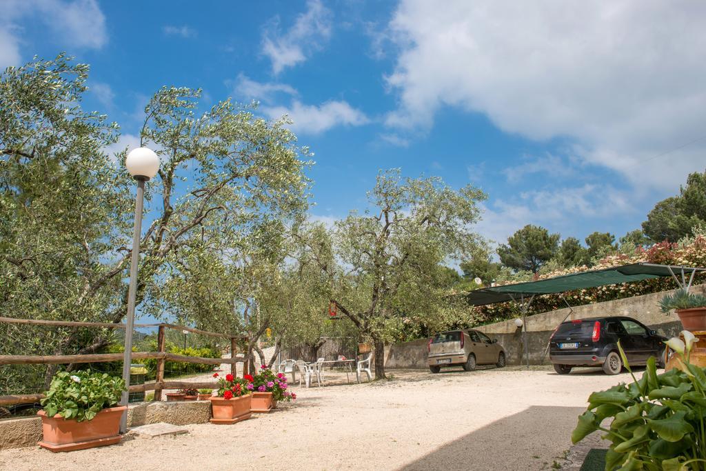 Alba Del Gargano Home Vieste Dış mekan fotoğraf