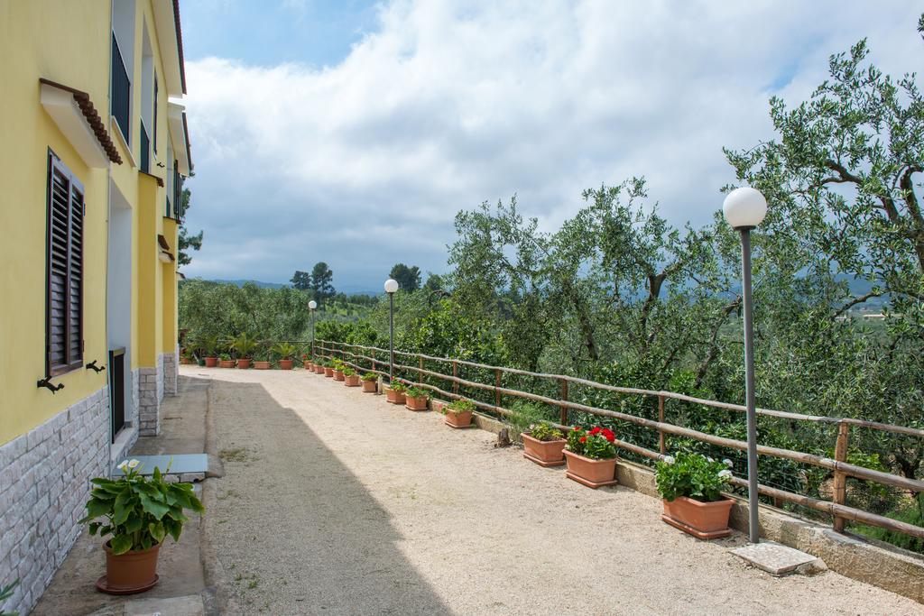 Alba Del Gargano Home Vieste Dış mekan fotoğraf