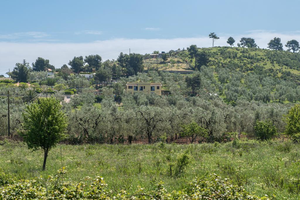 Alba Del Gargano Home Vieste Dış mekan fotoğraf